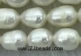 FWP174 14.5 inches 5mm - 6mm rice white freshwater pearl strands