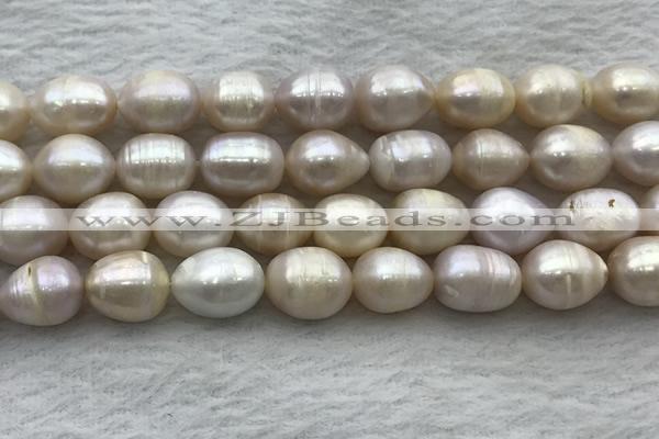 FWP206 15 inches 10mm - 11mm rice white freshwater pearl strands