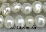 FWP30 14.5 inches 4.5mm potato white freshwater pearl strands