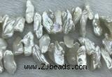 FWP416 Top-drilled 10*22mm - 12*25mm biwa freshwater pearl beads