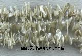FWP420 15 inches 5*15mm - 8*24mm biwa freshwater pearl beads