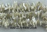 FWP420 15 inches 5*15mm - 8*24mm biwa freshwater pearl beads