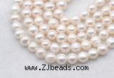 FWP484 14.5 inches 9mm - 10mm potato white freshwater pearl strands