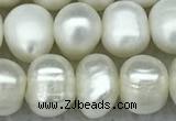 FWP65 15 inches 7mm - 8mm potato white freshwater pearl strands