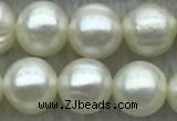 FWP72 15 inches 7mm - 8mm potato white freshwater pearl strands
