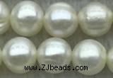 FWP72 15 inches 7mm - 8mm potato white freshwater pearl strands
