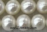 FWP76 15 inches 7mm - 8mm potato white freshwater pearl strands