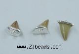NGP2496 15*18mm - 18*20mm shark teeth pendants wholesale