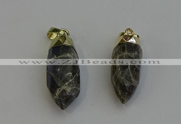 NGP6245 12*28mm - 15*30mm faceted bullet labradorite pendants