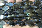 NUGG99 15 inches 12*18mm - 13*20mm freeform labradorite gemstone beads