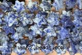 STAR56 15 inches 14mm faceted star sodalite gemstone beads