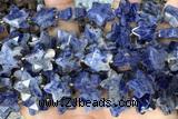 STAR57 15 inches 14mm faceted star sodalite gemstone beads