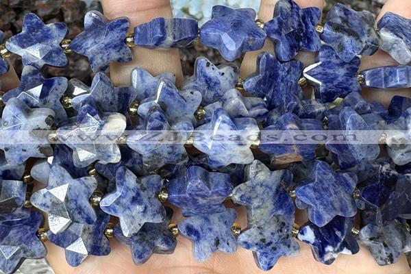 STAR57 15 inches 14mm faceted star sodalite gemstone beads